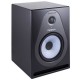 Monitor Estudio Samson RESOLV SE8