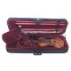 Violin Stradella MV141444 - 4/4 con Estuche Arco y Resina