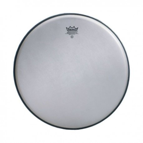 Parche Remo Renaissance Ambassador 22"