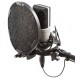 Microfono Condenser Sennheiser MK4