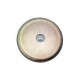 Parche para conga WC1134ZFAM 11 3/4" Meinl TSB45