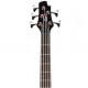 BAJO CORT ACTION BASS V PLUS TR RED