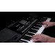 Korg 100013014000 - Pa300 Arranger 61 Teclas Tecnologia RX Pantalla Tactil